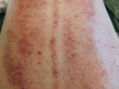 -固元堂(摩方分院)