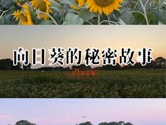-苏州湾体育公园