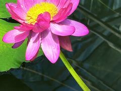 -北京植物园-展览温室