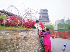 -西安汉城湖景区