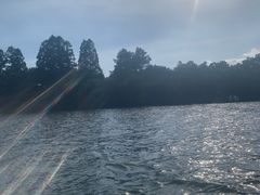 -西湖外事游船(花港观鱼码头)