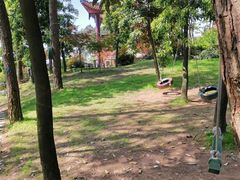 -铁山坪森林公园