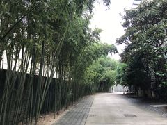 -苏州本色美术馆