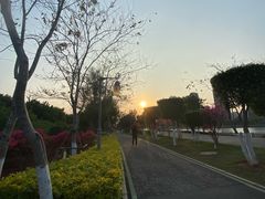 -五缘湾湿地公园