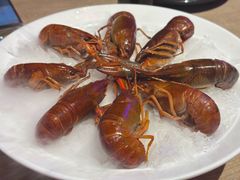 精品冰镇蓝龙虾-红盔甲·小龙虾(车公庙店)