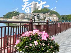 -巽寮湾