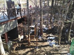 -帽儿山国家森林公园