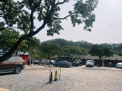 -满記土窑烧鷄波浪山莊