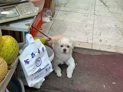 -桃源市场(解放路店)