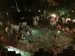 -天目湖涵田半山温泉