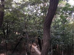 -观象山公园