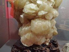 -陕西自然博物馆