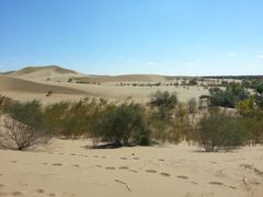 -亿利库布其七星湖沙漠生态旅游区