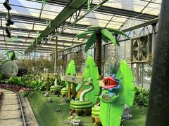 -南宫五洲植物乐园