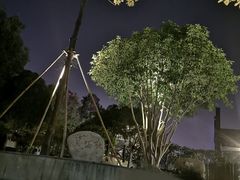 -三江森林温泉度假区
