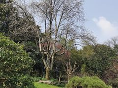 -浙江西子宾馆·瑶园咖啡厅