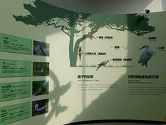 -白鹭湾湿地公园