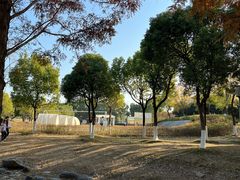 -滆湖低碳生态公园
