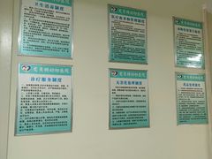 -爱贝特动物医院·猫口炎专科