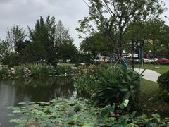 -亭林园-华藏寺