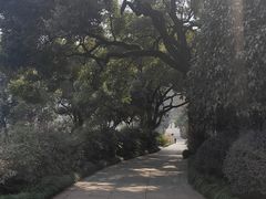 -中国茶叶博物馆(双峰馆区)