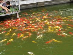 -石家庄市植物园