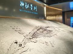 -贵州省地质博物馆