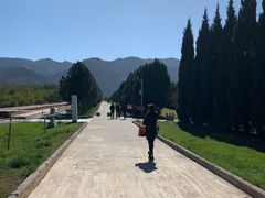 -秦始皇帝陵博物院-丽山园