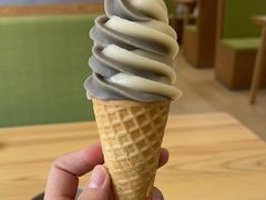 -田素(稻田创业小镇店)