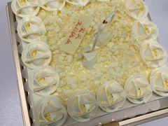 -BLACKSWAN黑天鹅(环球店)