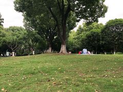 -花溪公园