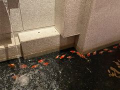 -味友·厦门味(杏林湾店)
