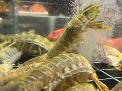 -新荣记(西溪湿地店)