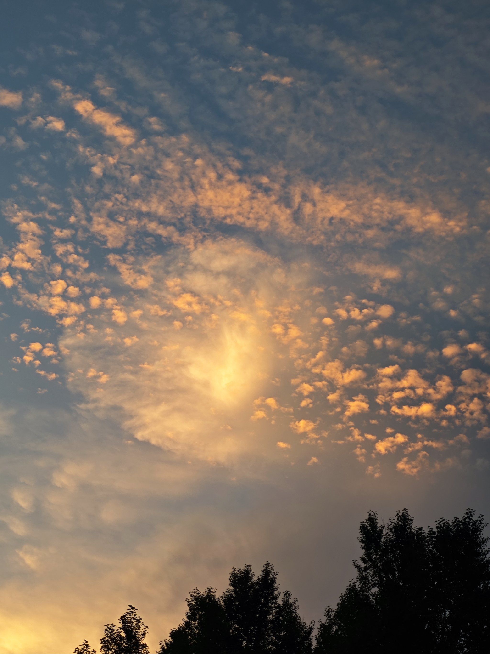 天天领红包 🌅晚霞与你共美 🌅

夜幕降临前,天空被晚霞染成