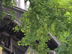-老门东历史文化街区