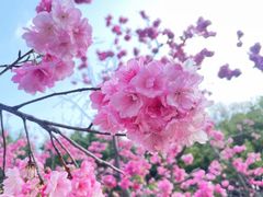 -洛龙公园
