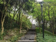 -龙头寺公园