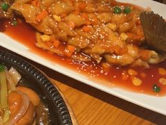 -宋小谨(惠安禹洲店)