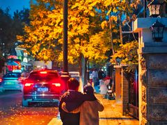 -天津君隆威斯汀酒店