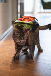 -优刻西服西装定制(金轮国际广场店)