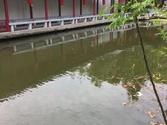 -龚家花园农家乐休闲别墅