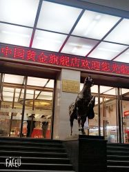 -中国黄金(北京旗舰店)