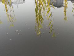 -文瀛公园
