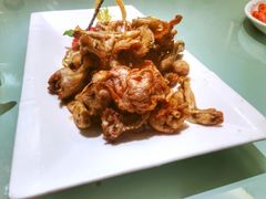 -御龙宴