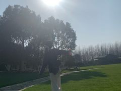 -合肥滨湖国家森林公园