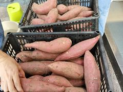 -粒上皇(天河南一路店)