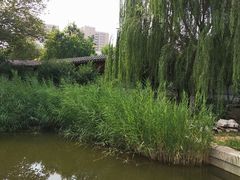 -南普公园