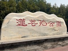 -莲花池公园