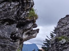 -神农架景区