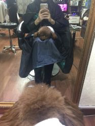 -AFA Hair studio·女士发型设计